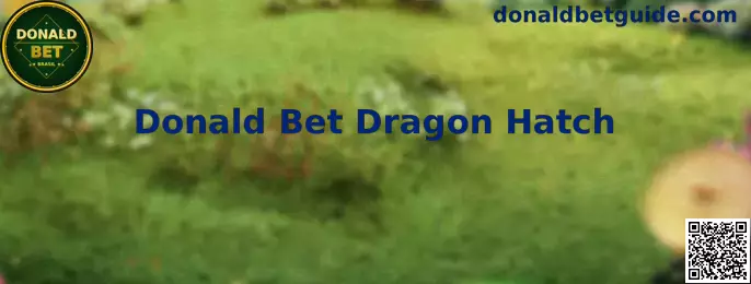 Explicação visual do jogo Donald Bet Dragon Hatch