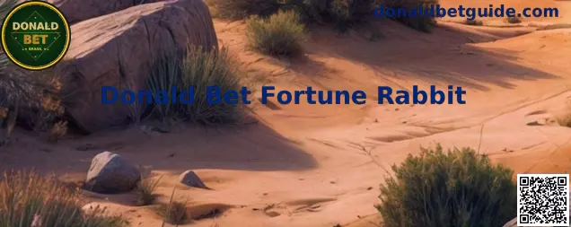 Representação visual do slot Donald Bet Fortune Rabbit